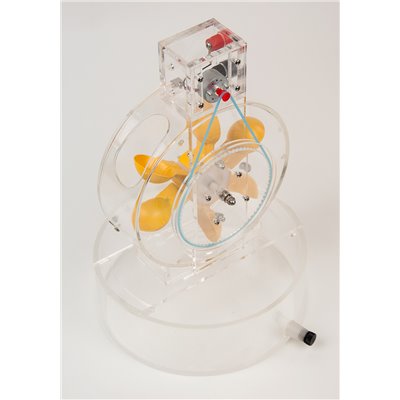 Peltonturbine Demo, mit Generator
