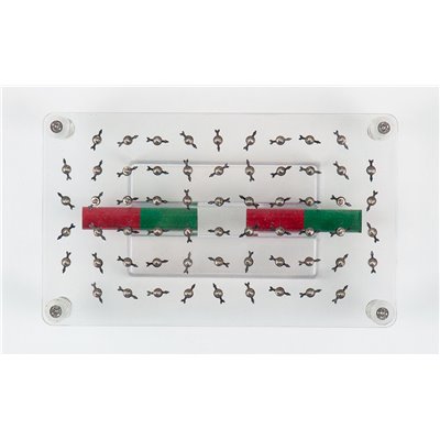 Magnetfeld – Kraftlinien, Set